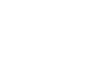 brain bloom logo